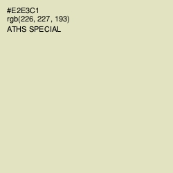 #E2E3C1 - Aths Special Color Image